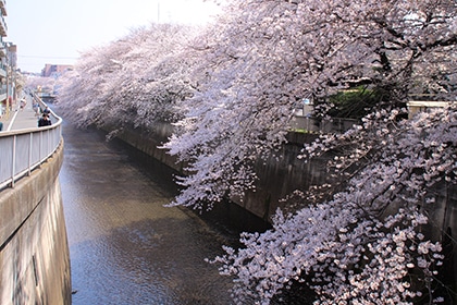 石神井川（約1200m・徒歩15分）