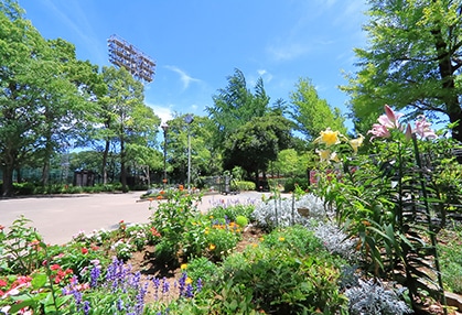 城北中央公園